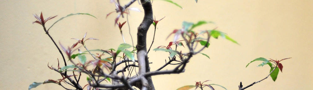 No charge live gay 1 on 1 video clip porno boards